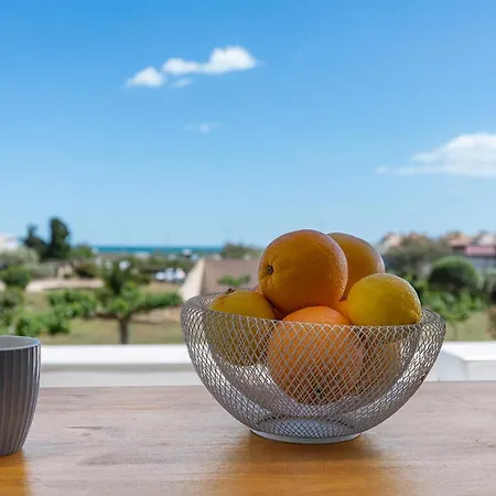 Cosmo Port Nature Coursives アグド