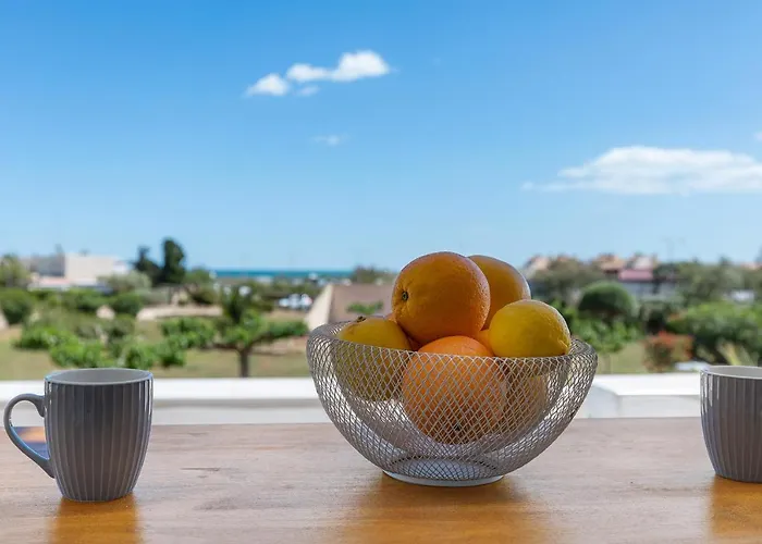 Cosmo Port Nature Coursives アグド